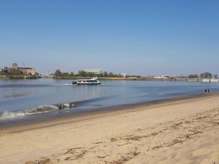 Foto van het Sint-Annastrand met de Schelde en een Waterbus die voorbij vaart.