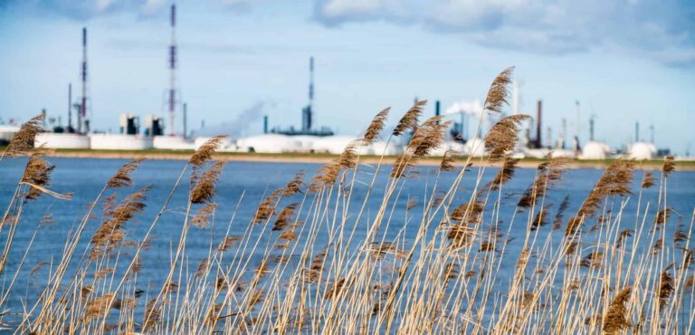 natuur en haven