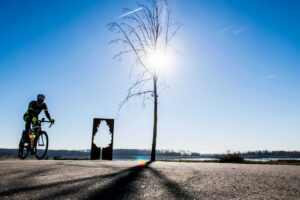 Boom metalen kunstwerk boom zon tegenlicht fietser op dijk naast Schelde
