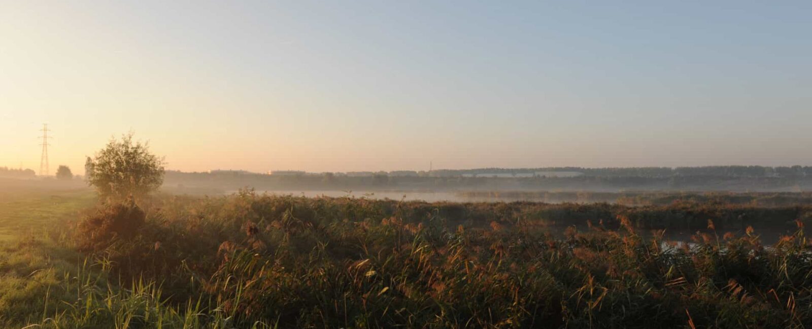 Uitzicht in de schemering van een wijds landschap met riet.