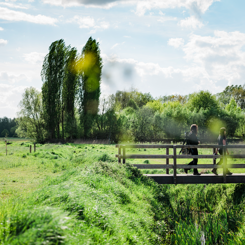Doelpolder