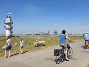 radartoren fietsers containerkranen