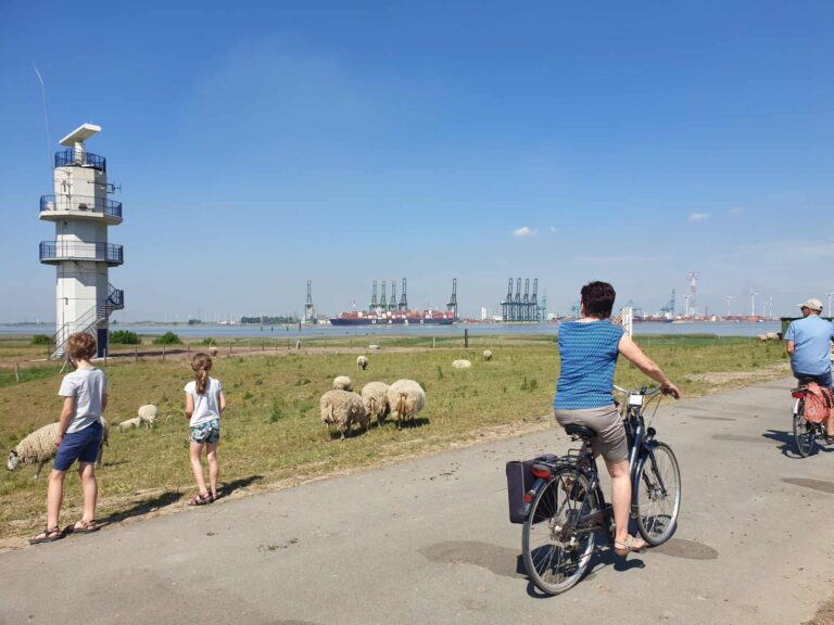radartoren fietsers containerkranen