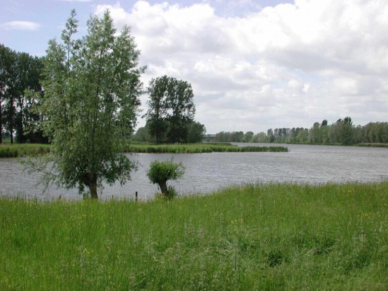 Grote Geule