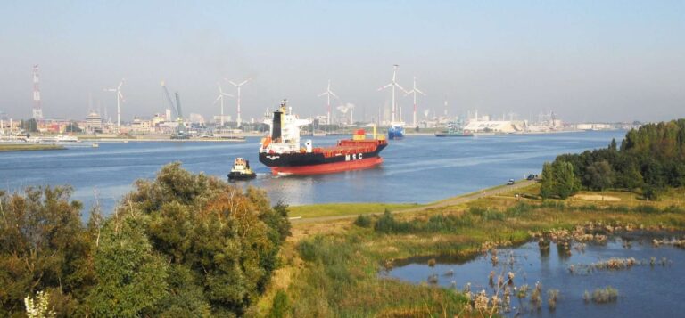 Zicht op de haven van Antwerpen