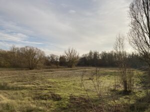 Foto van natuurgebied De Zouten.