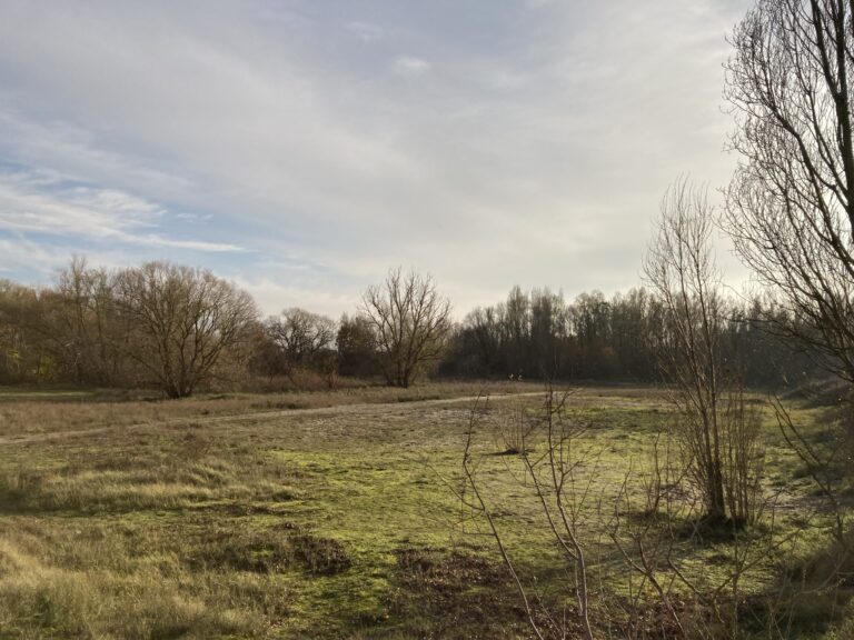 Foto van natuurgebied De Zouten.