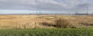 Prosperpolder Noord